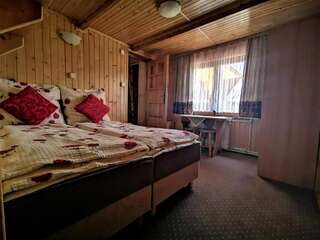 Отели типа «постель и завтрак» Dom Gościnny Skalnica Поронин Двухместный номер с 1 кроватью и собственной ванной комнатой-1