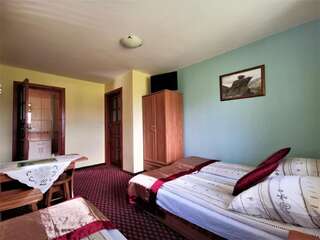 Отели типа «постель и завтрак» Dom Gościnny Skalnica Поронин Двухместный номер с 1 кроватью и собственной ванной комнатой-5