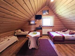 Отели типа «постель и завтрак» Dom Gościnny Skalnica Поронин Четырехместный номер с собственной ванной комнатой-1